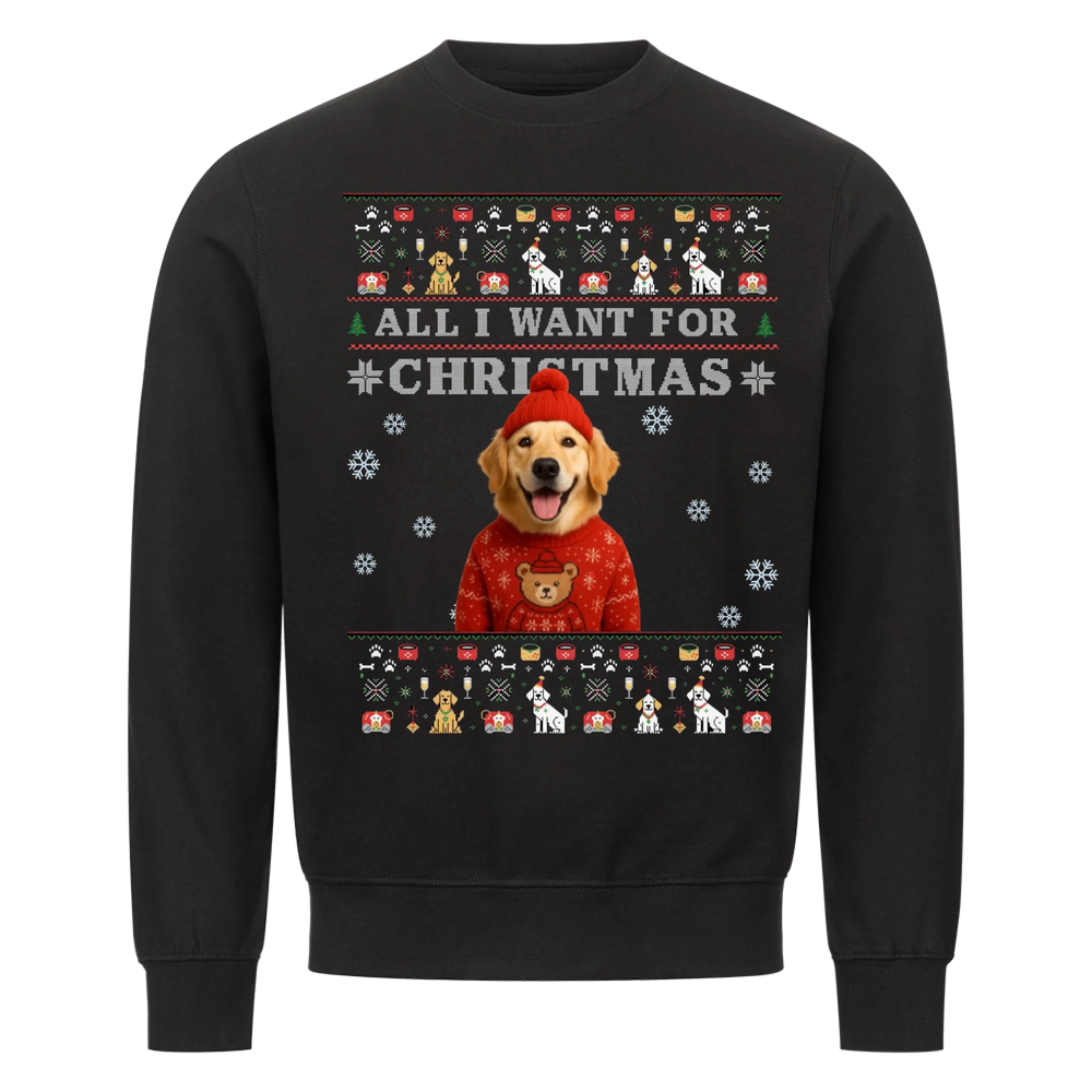 ALL I WANT FOR CHRISTMAS