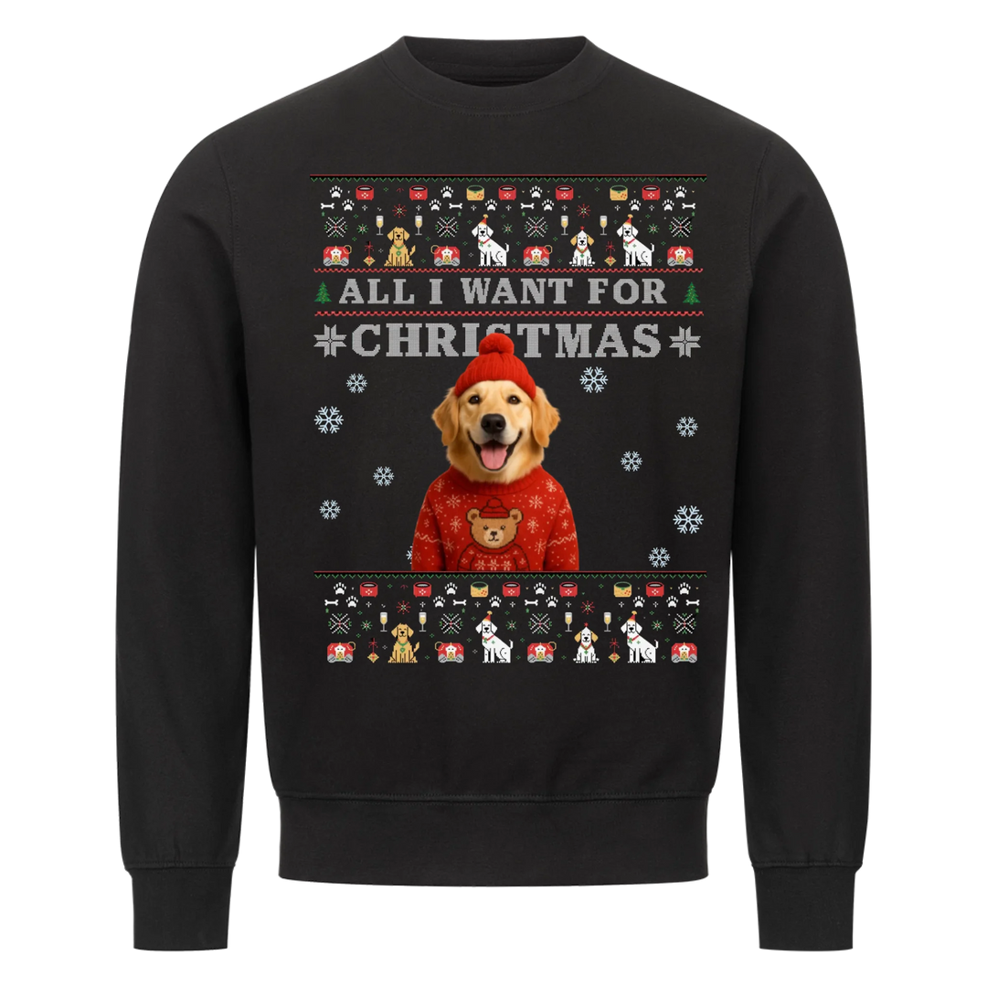 ALL I WANT FOR CHRISTMAS