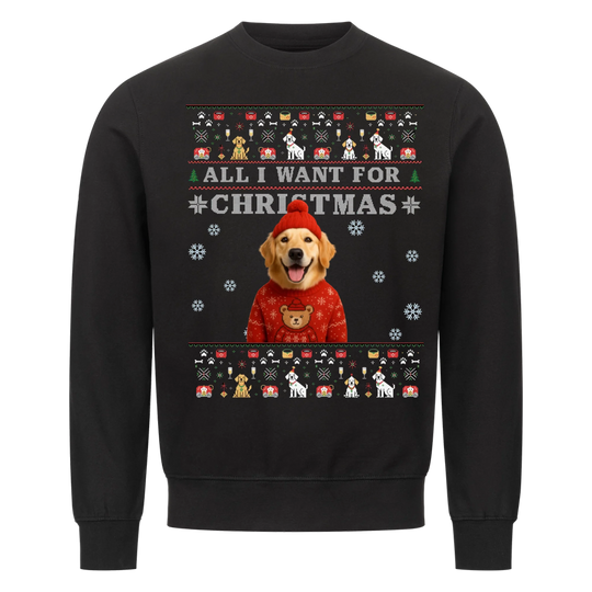 ALL I WANT FOR CHRISTMAS