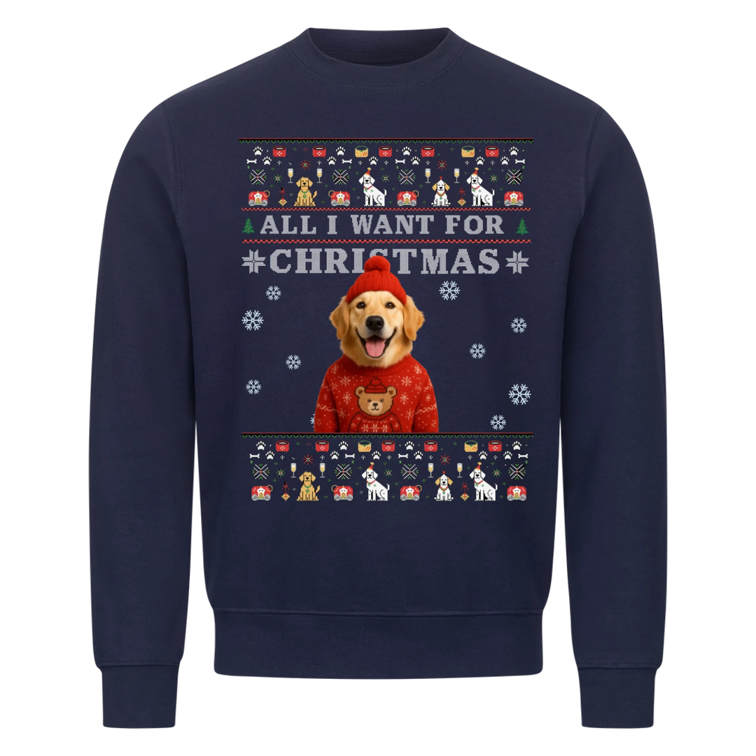 ALL I WANT FOR CHRISTMAS