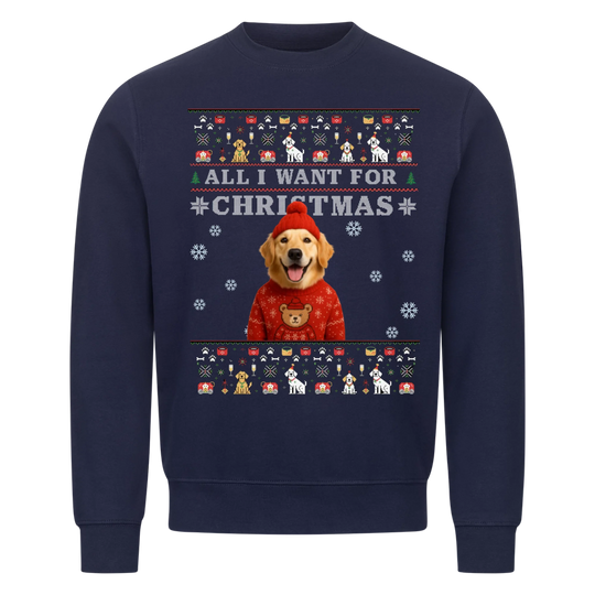 ALL I WANT FOR CHRISTMAS