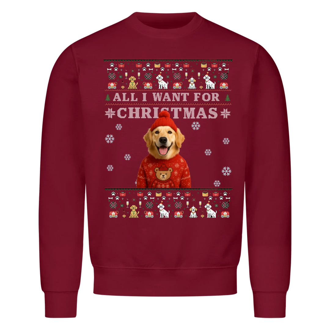 ALL I WANT FOR CHRISTMAS