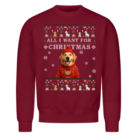 ALL I WANT FOR CHRISTMAS